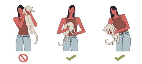  For best results, follow these steps: Hold your cat with their bottom in your armpit